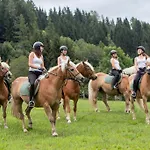 Landgasthof Zum Hammerschmied 3*