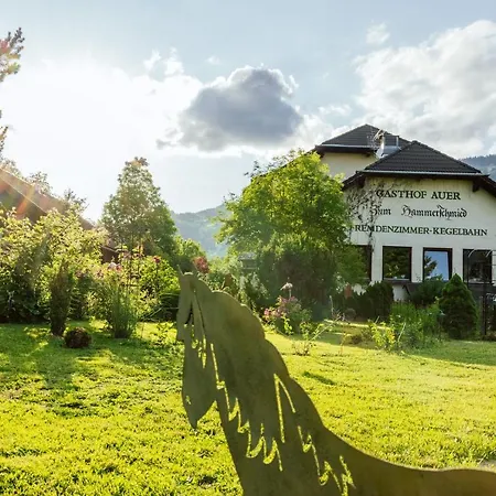 Landgasthof Zum Hammerschmied 여관 3*