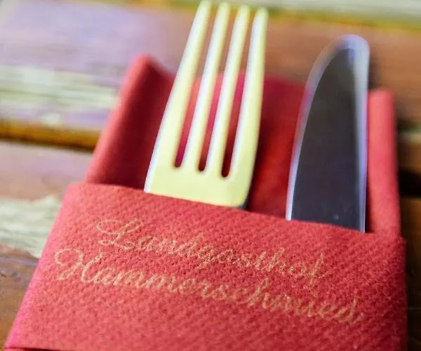 Landgasthof Zum Hammerschmied